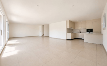 Villa 5.5 pièces - image - 3