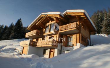 Chalet 5.5 Zimmer - image - 1