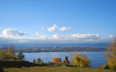 Building land - image - 1