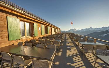 Restaurant - image - 4
