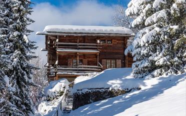 Chalet 6 pièces - image - 4