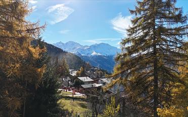 Chalet 6 pièces - image - 6