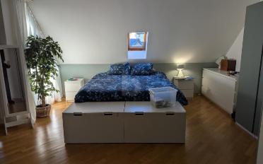 Terrace flat 5.5 rooms - image - 4