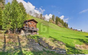 Chalet 4.5 rooms - image - 1