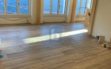 Einfamilienhaus 5.5 Zimmer - image - 3