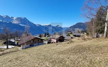 Chalet 3.5 rooms - image - 3
