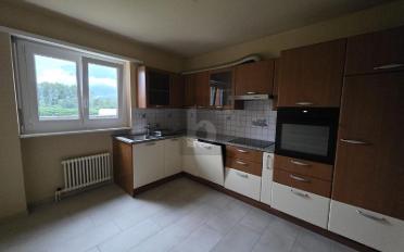 Wohnung 3.5 Zimmer - image - 1