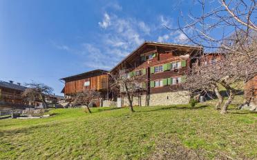Chalet 10.5 rooms - image - 1