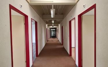 Office 5 rooms - image - 4