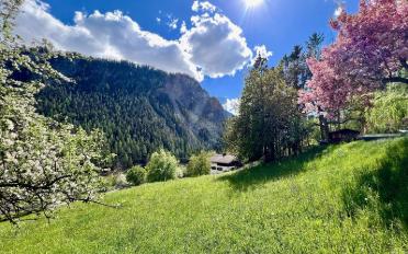 Terrain à bâtir - image - 1