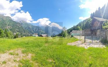 Chalet 5 rooms - image - 2