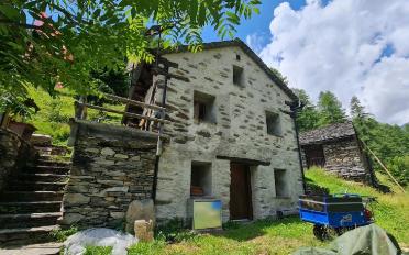 Chalet 3.5 rooms - image - 2