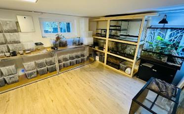 Single house 7 rooms - image - 2