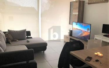 Wohnung 2.5 Zimmer - image - 1