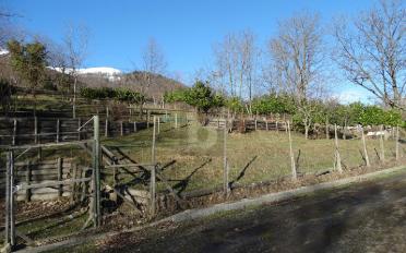 Agricultural land - image - 1