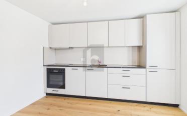 Duplex 5.5 pièces - image - 4