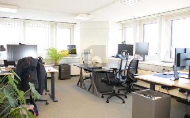 Office 6 rooms - image - 2