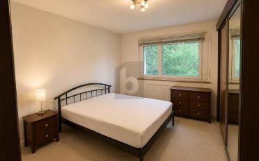 Wohnung 3.5 Zimmer - image - 2
