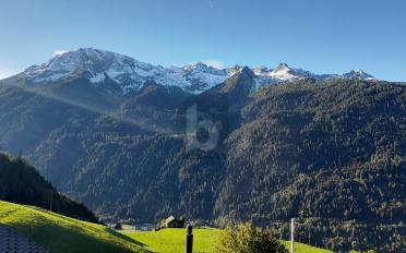 Chalet 8 Zimmer - image - 2