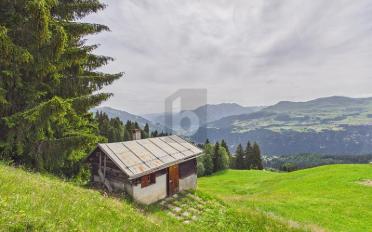 Chalet 2.5 Zimmer - image - 1