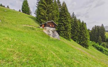 Chalet 2.5 Zimmer - image - 2