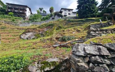 Building land - image - 2