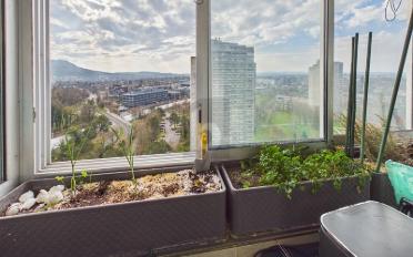 Wohnung 4.5 Zimmer - image - 5