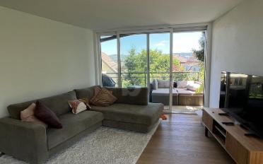 Attikawohnung 3.5 Zimmer - image - 1