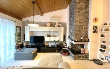 Bifamiliar house 9.5 rooms - image - 1