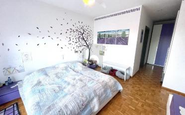Bifamiliar house 9.5 rooms - image - 2