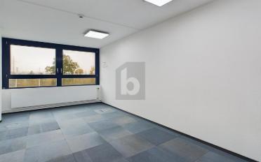 Ladenfläche 6 Zimmer - image - 2