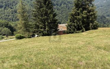 Bauland - image - 4