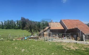 Einfamilienhaus 4.5 Zimmer - image - 5