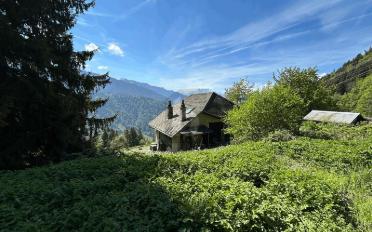 Reihenfamilienhaus 4 Zimmer - image - 1