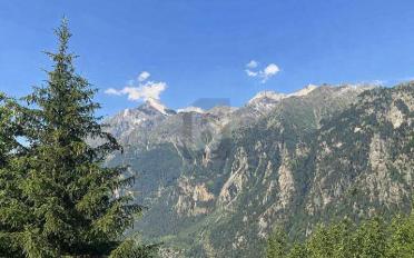 Chalet 5 Zimmer - image - 1