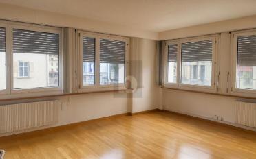 Büro 12 Zimmer - image - 3