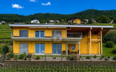 Villa 6.5 Zimmer - image - 1
