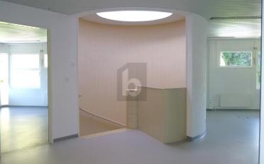 Office 5 rooms - image - 3