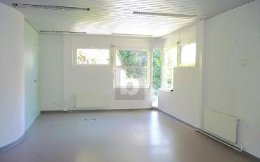 Office 5 rooms - image - 2