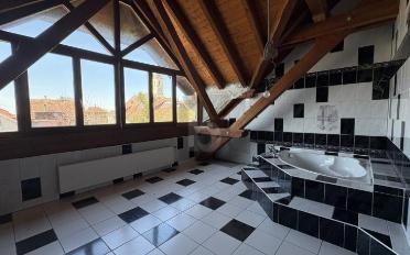 Maison 9.5 pièces - image - 3