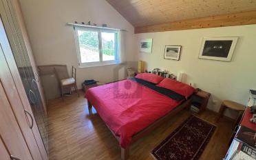 Einfamilienhaus 3.5 Zimmer - image - 5
