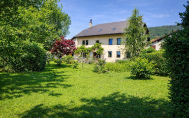 Row house 12 rooms - image - 1