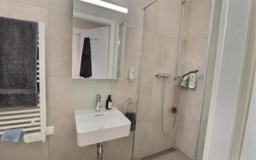 Attic flat 5 rooms - image - 10