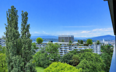 Wohnung 3.5 Zimmer - image - 2