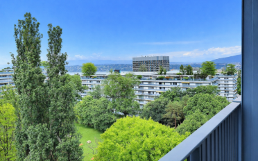 Wohnung 3.5 Zimmer - image - 1