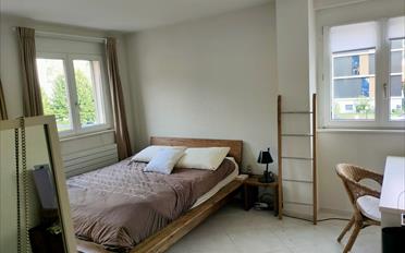 Reihenfamilienhaus 5.5 Zimmer - image - 6