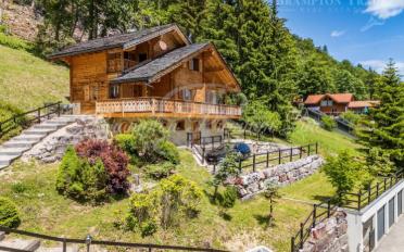 Chalet 8 Zimmer - image - 1