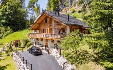 Chalet 8 Zimmer - image - 2