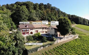Bauernhaus 20 Zimmer - image - 3