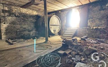 Bauernhaus 20 Zimmer - image - 7